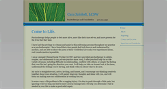 Desktop Screenshot of carazeisloftlcsw.com